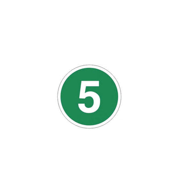 Стикер еврокласификация euro 5